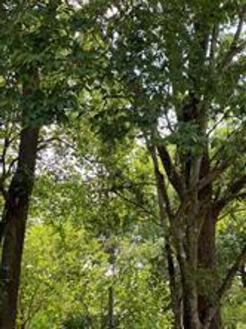 Photo of 5811 Gresham Street, Wallis, TX 77485 (MLS # 14831928) Photo of 5811 Gresham Street, Wallis, TX 77485 (MLS # 14831928)