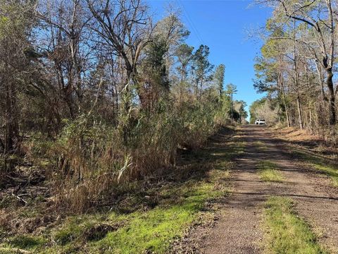 00 The Woods Road Coldspring TX 77331
