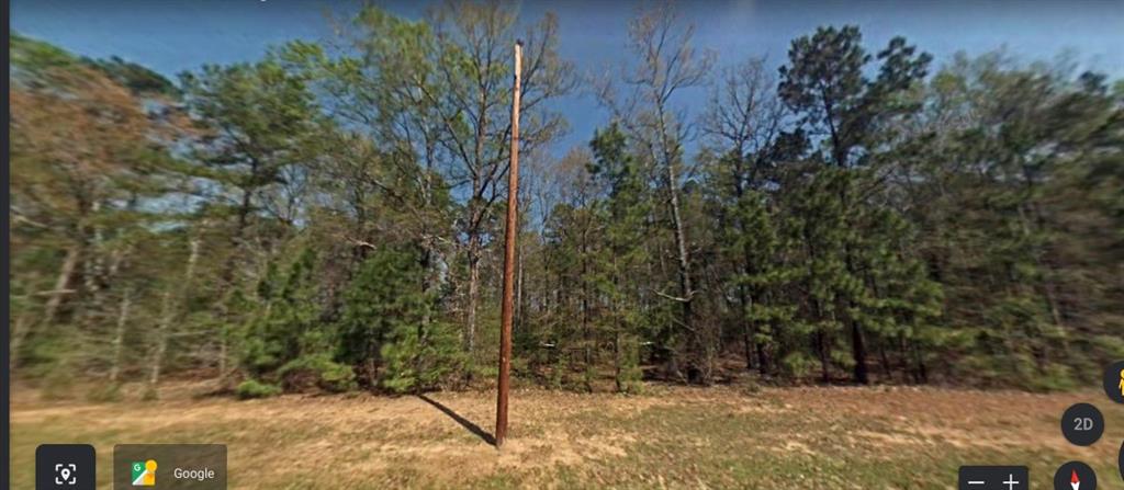 0000 Cloverdale, Livingston, Texas image 2