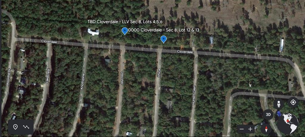 0000 Cloverdale, Livingston, Texas image 1
