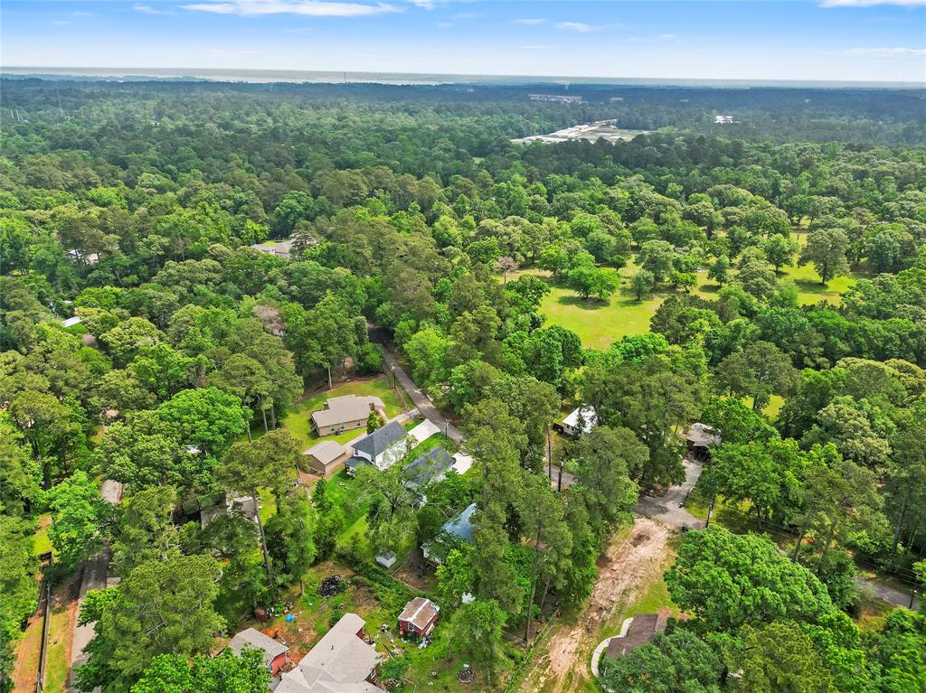 6090 Skylane Drive, Montgomery, Texas image 16