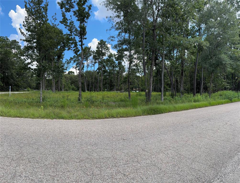 11855 MAGNOLIA BEND DR