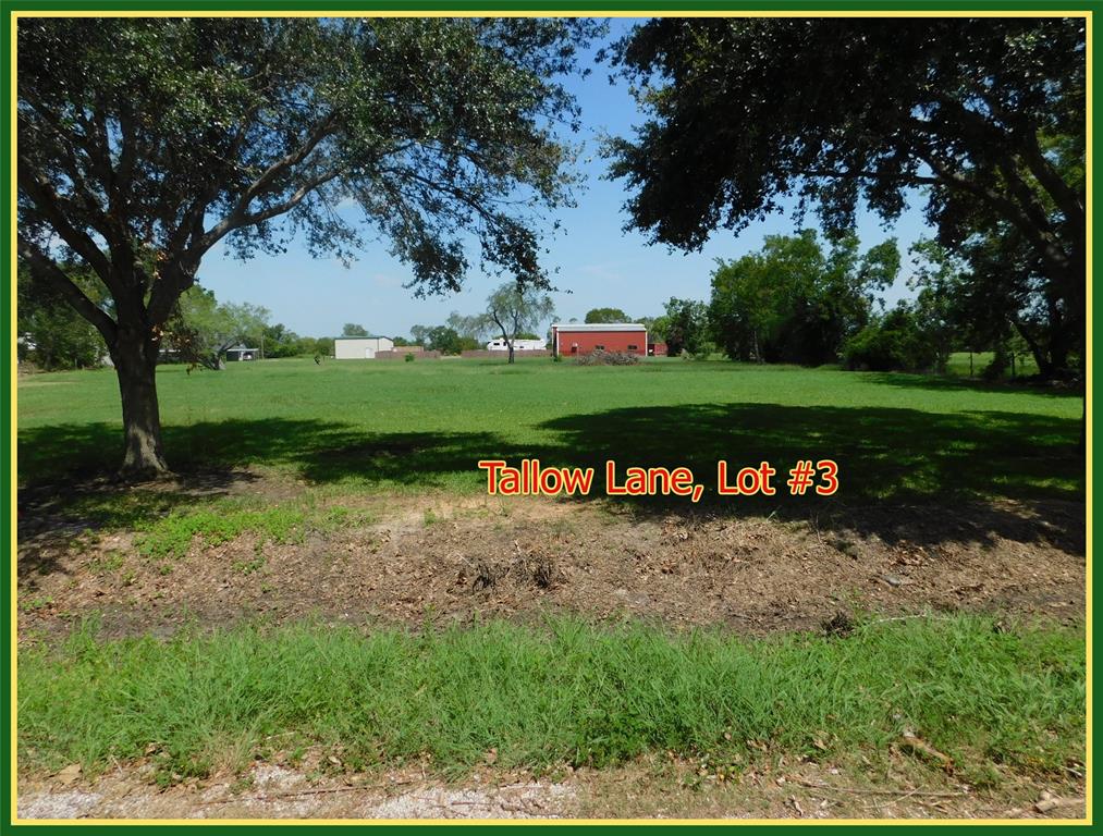 TBD (Lot 3) Tallow Lane, El Campo, Texas image 1