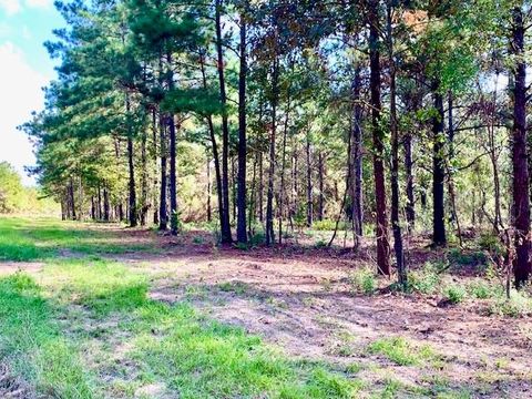 Vacant Land For Sale - TBD Cr 2310<br/> Woodville, TX 75979