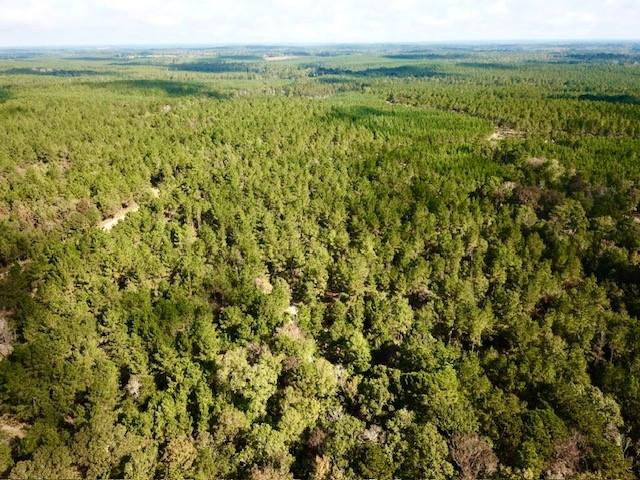 TBD Cr 2310, Woodville, Texas image 11