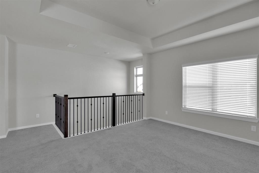 2822 Sapphire Hills Drive, Iowa Colony, Texas image 33