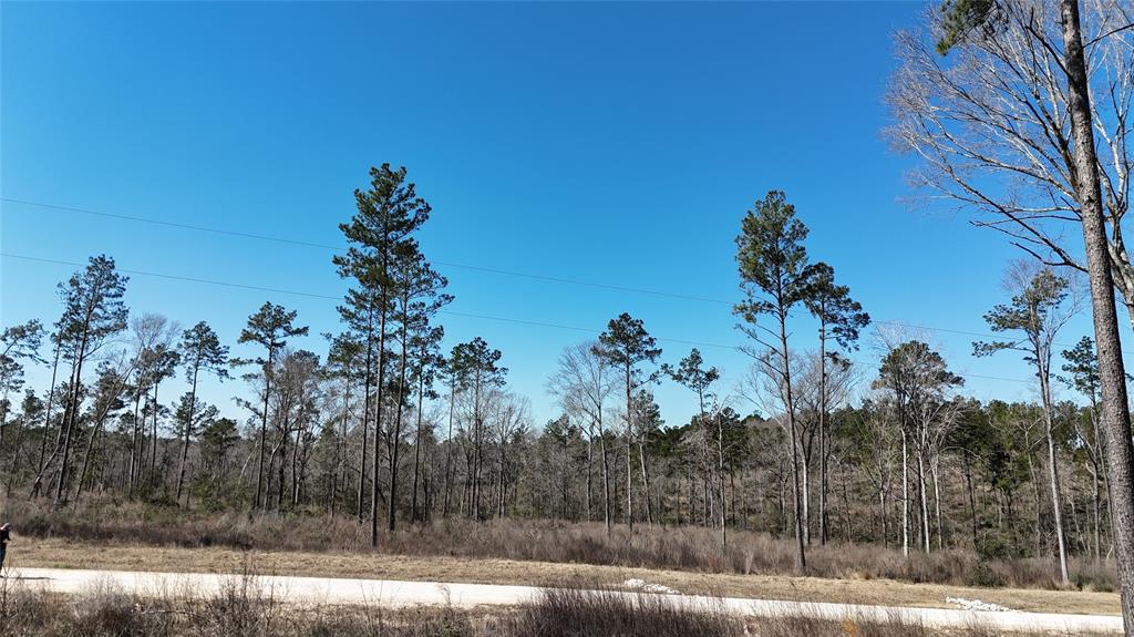 TBD 61 Reveille Road, Livingston, Texas image 9