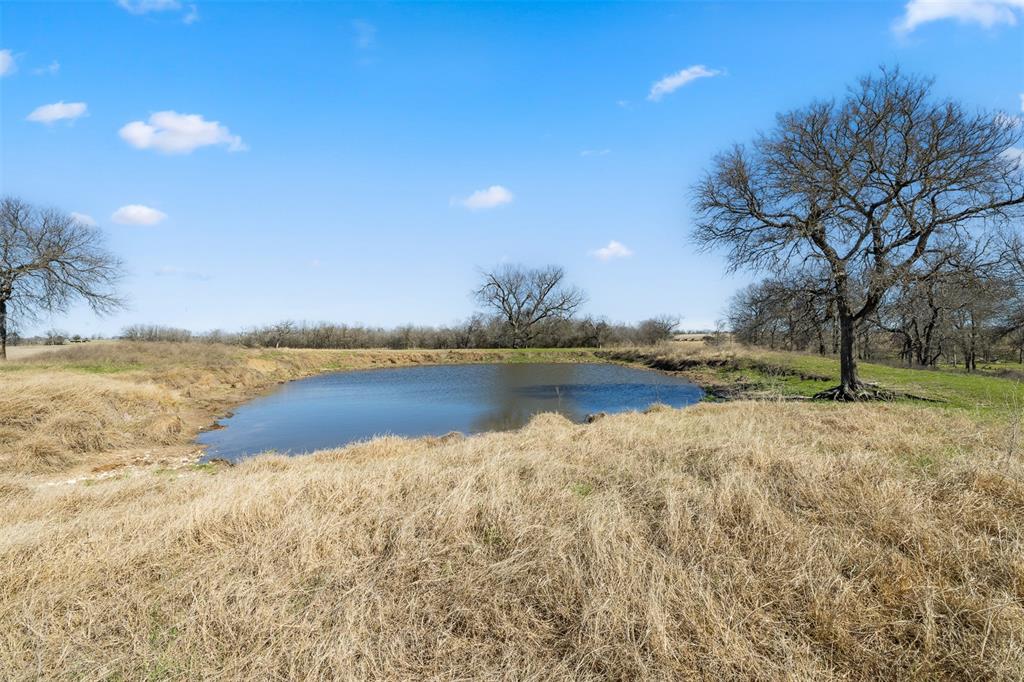 18222 N Fm 486, Buckholts, Texas image 17