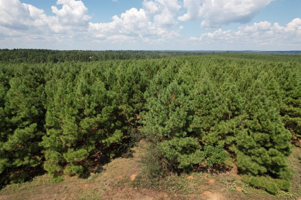 TBD-E Old Hwy 135, Gladewater, Texas image 7