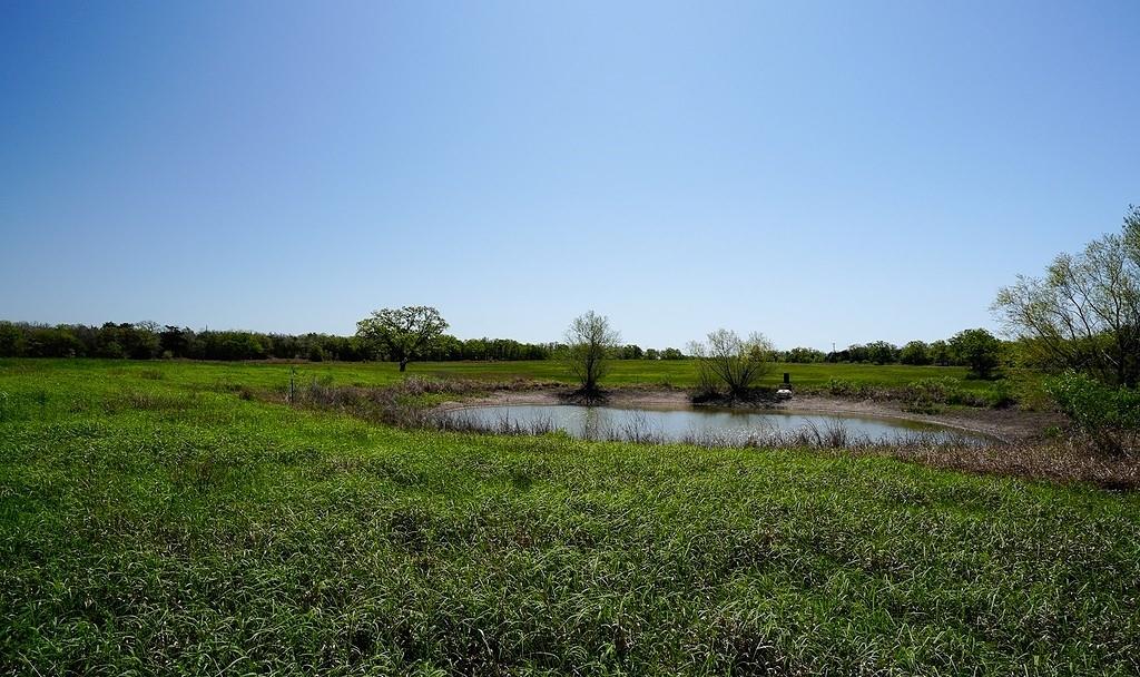 5411 N State Highway 95, Flatonia, Texas image 24