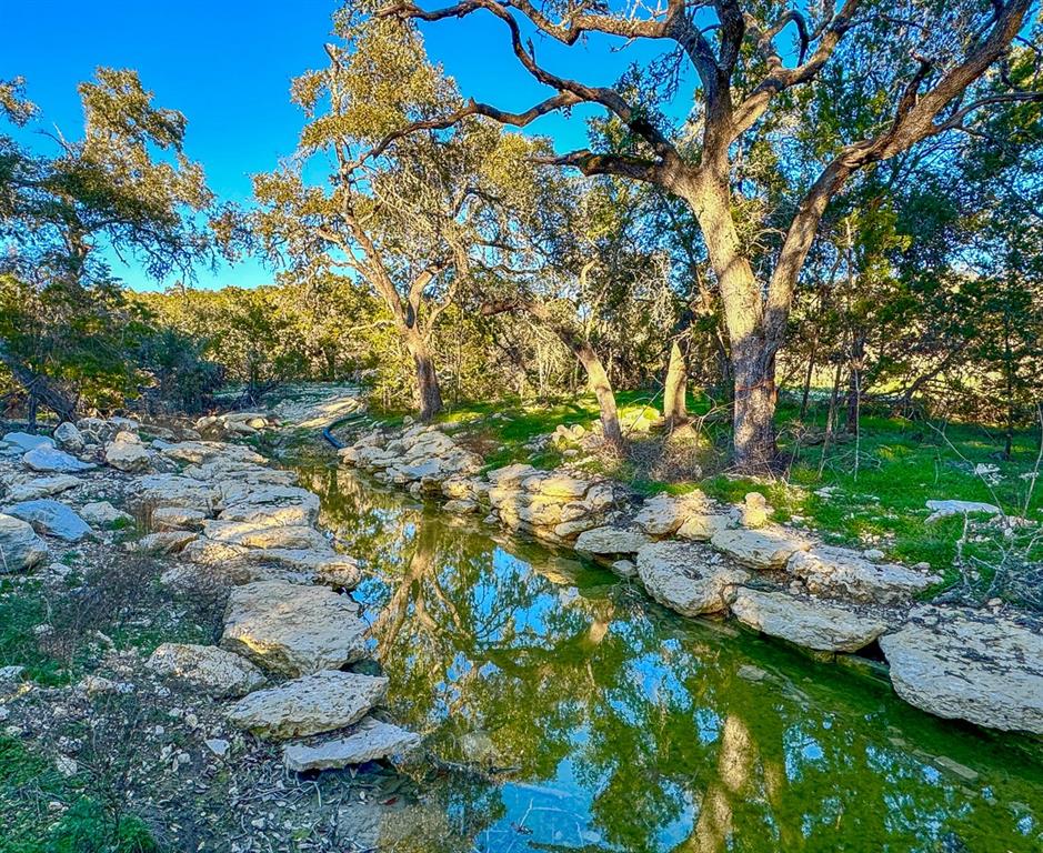 3600 Mount Sharp Road Rd, Wimberley, Texas image 15