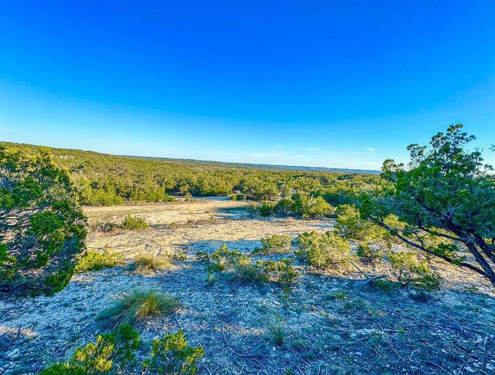 3600 Mount Sharp Road Rd, Wimberley, Texas image 10