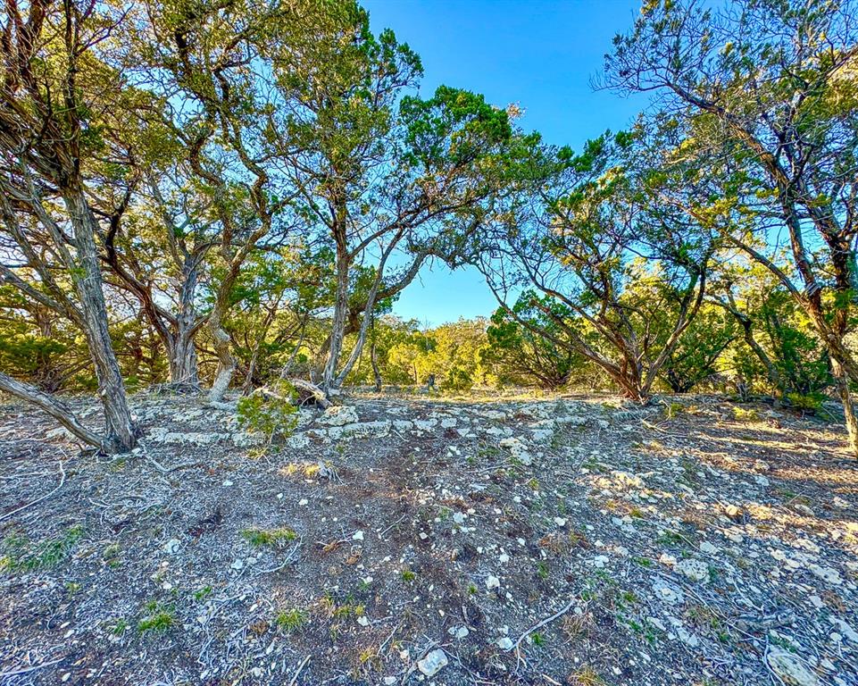 3600 Mount Sharp Road Rd, Wimberley, Texas image 9