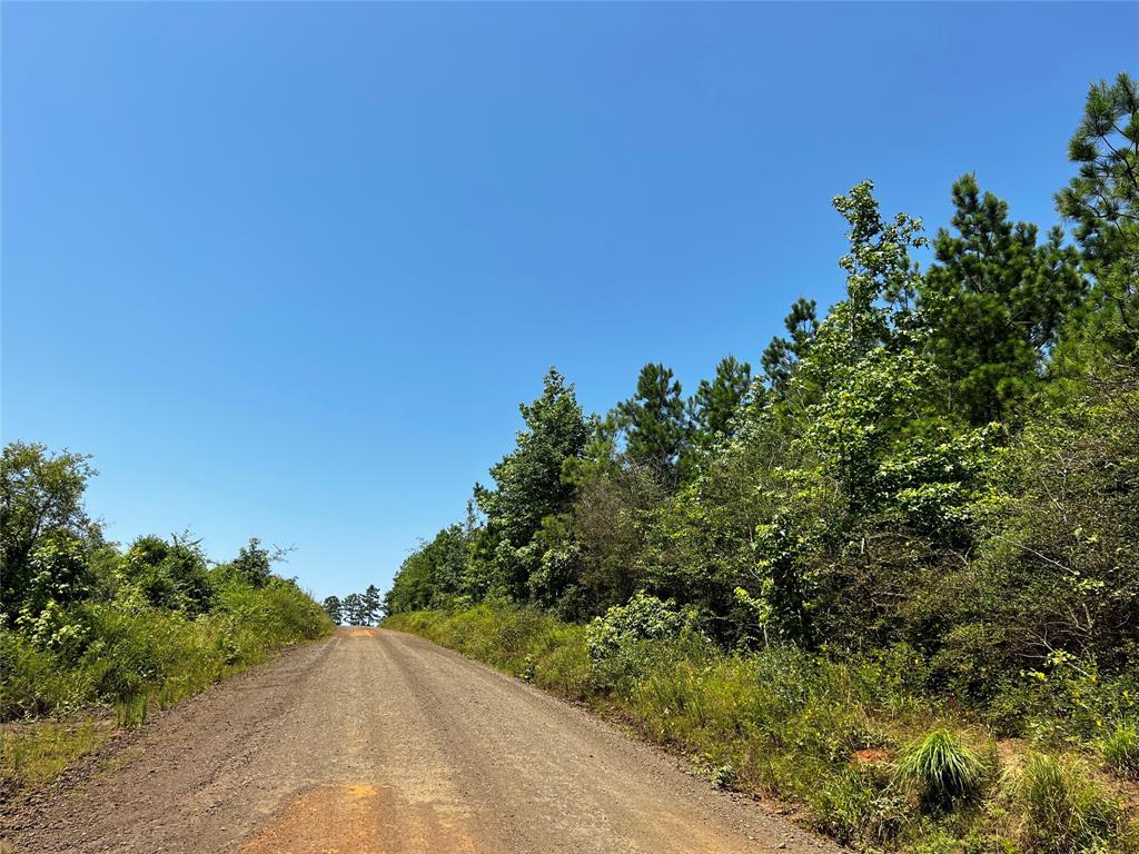 2 Carters Ferry Road, Milam, Texas image 4