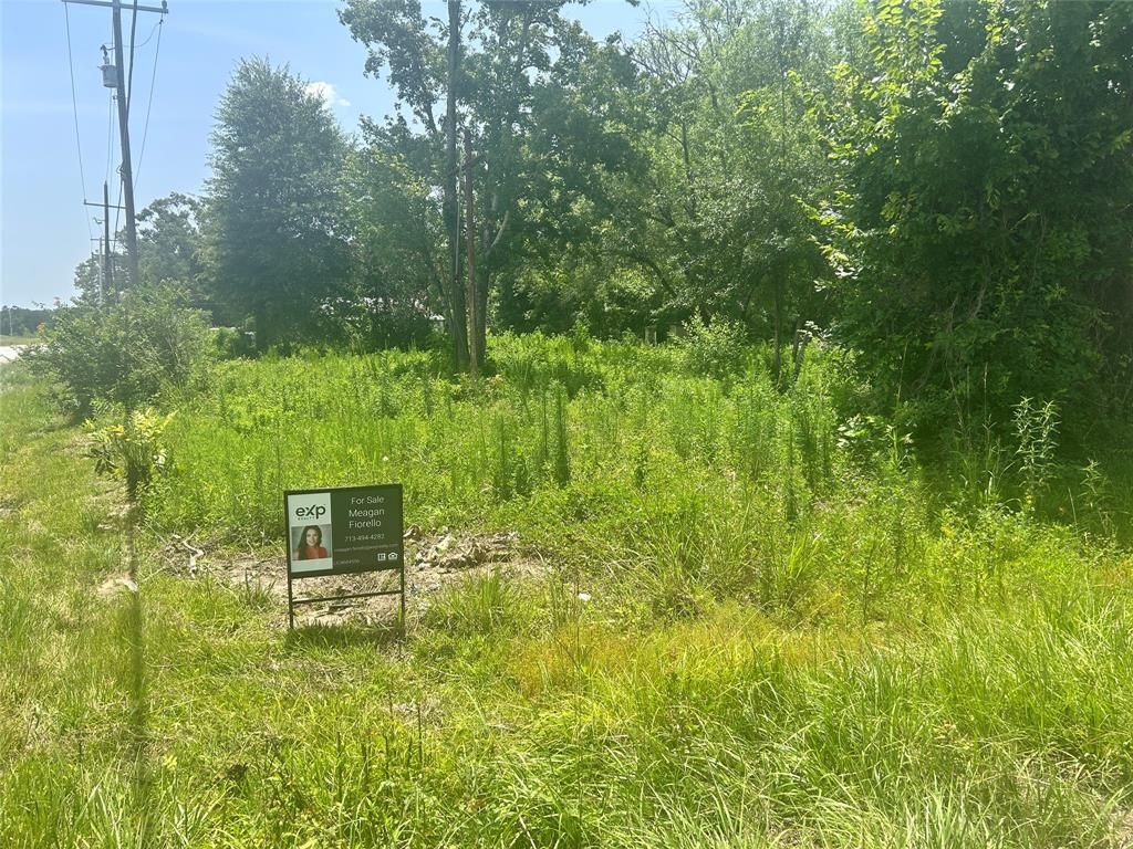 Photo of 20455 Lazy Creek Drive, New Caney, TX 77357 (MLS # 11509752)
