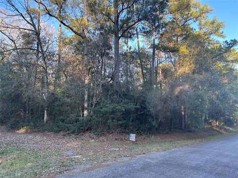 Vacant Land For Sale - LOT  9 Chestnut Drive<br/> Village Mills, TX 77625