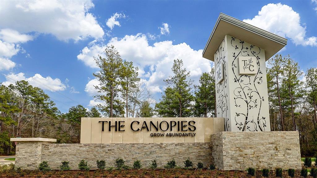 14725 Upward Sky Drive, Splendora, Texas image 15
