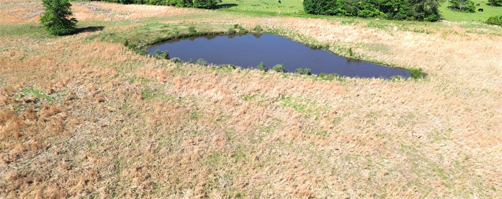 TBD County Road 4030, Crockett, Texas image 3