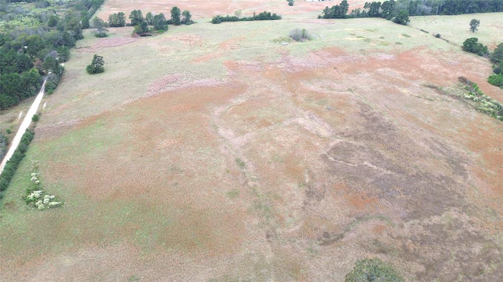 TBD County Road 4030, Crockett, Texas image 16