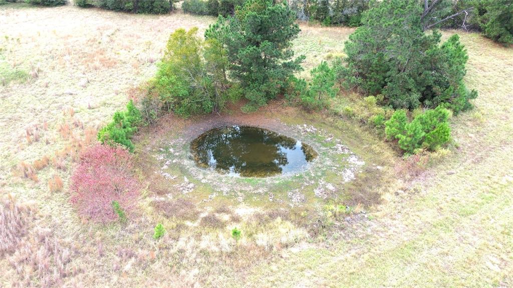 TBD County Road 4030, Crockett, Texas image 9