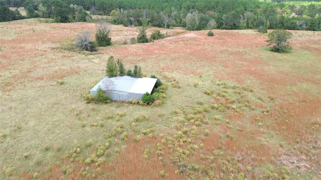 TBD County Road 4030, Crockett, Texas image 14