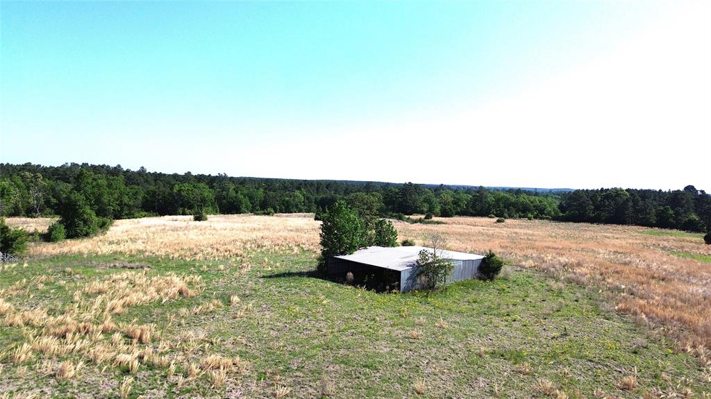 TBD County Road 4030, Crockett, Texas image 11