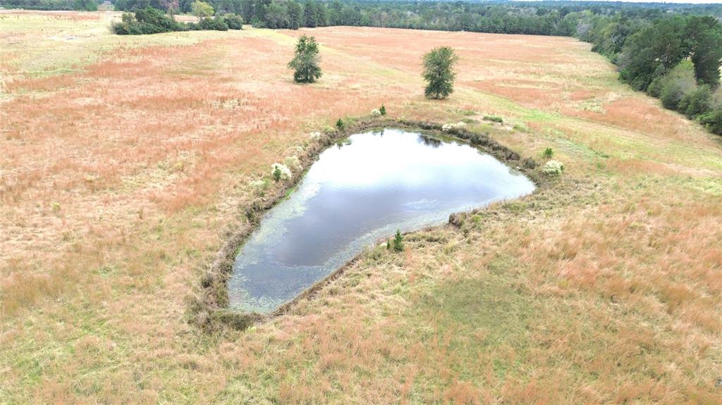 TBD County Road 4030, Crockett, Texas image 8