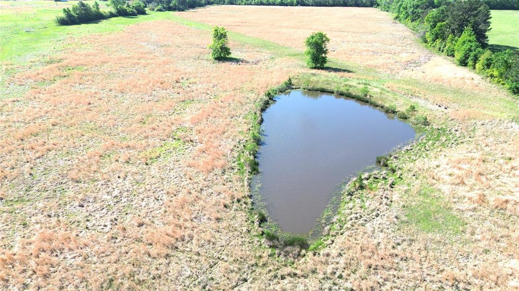 TBD County Road 4030, Crockett, Texas image 2