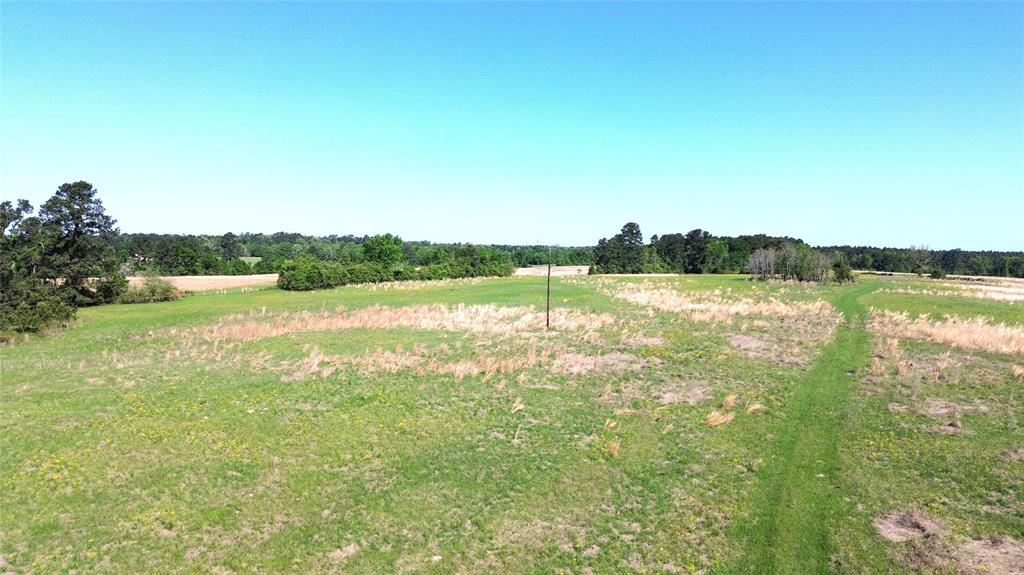 TBD County Road 4030, Crockett, Texas image 8