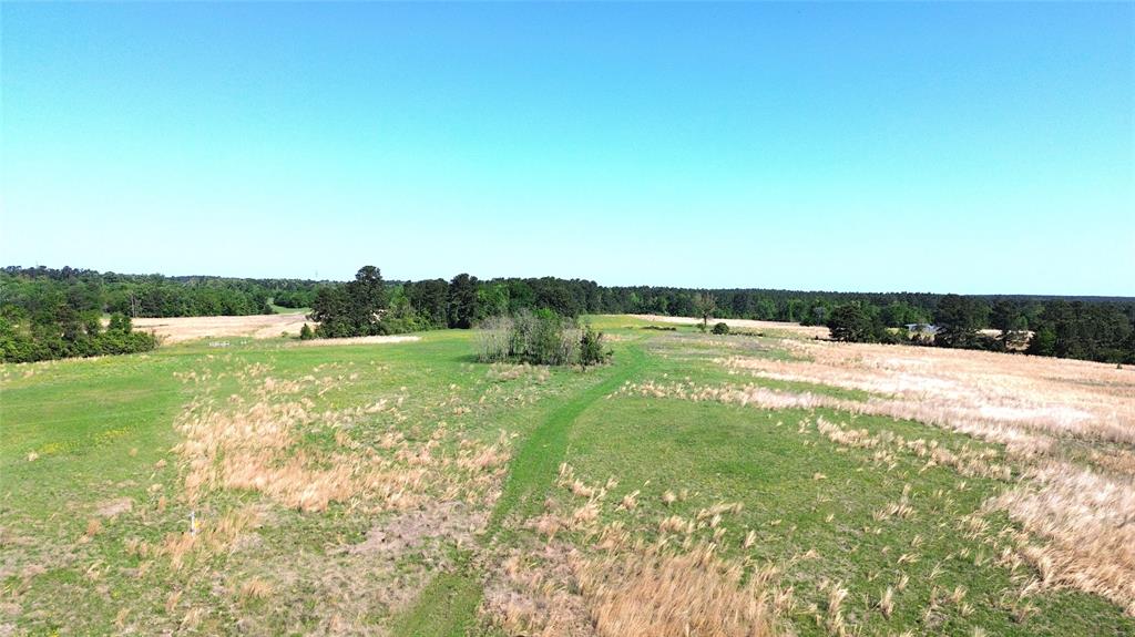 TBD County Road 4030, Crockett, Texas image 9