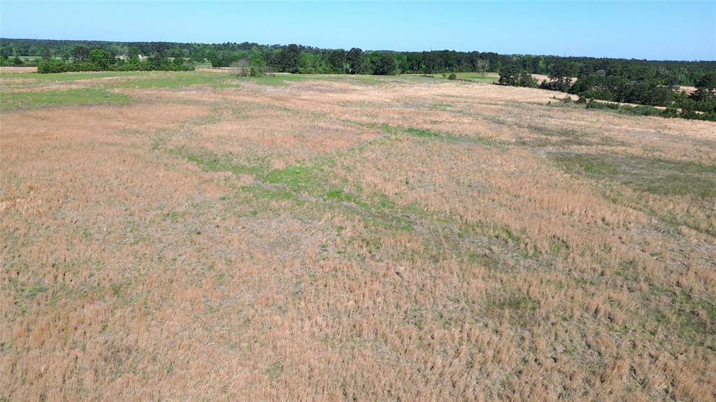TBD County Road 4030, Crockett, Texas image 18