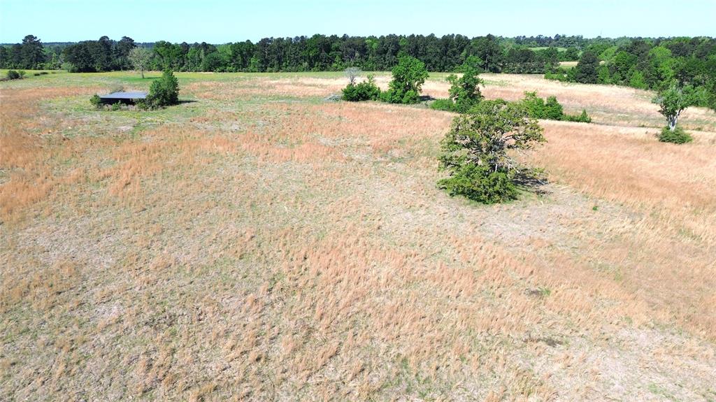 TBD County Road 4030, Crockett, Texas image 13