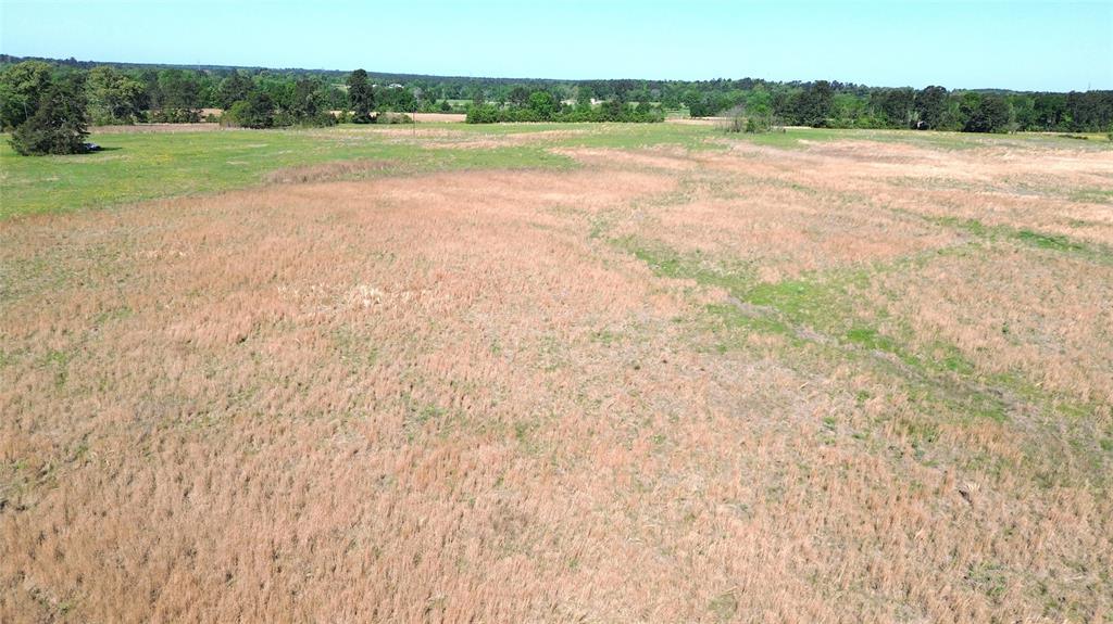 TBD County Road 4030, Crockett, Texas image 17