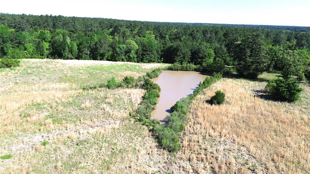 TBD County Road 4030, Crockett, Texas image 1