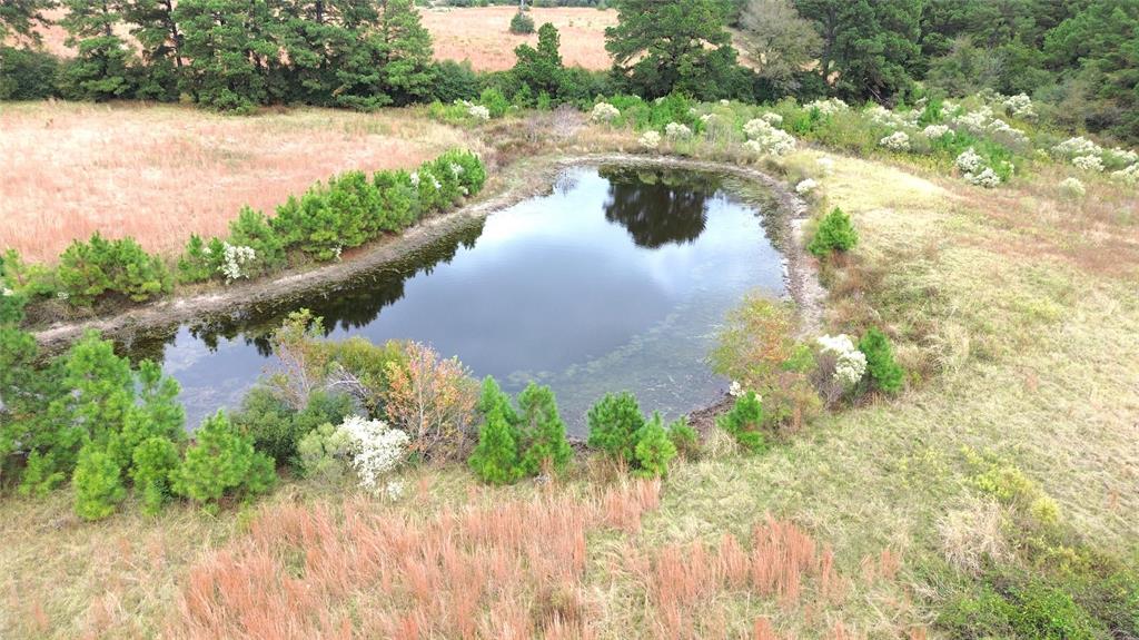 TBD County Road 4030, Crockett, Texas image 5