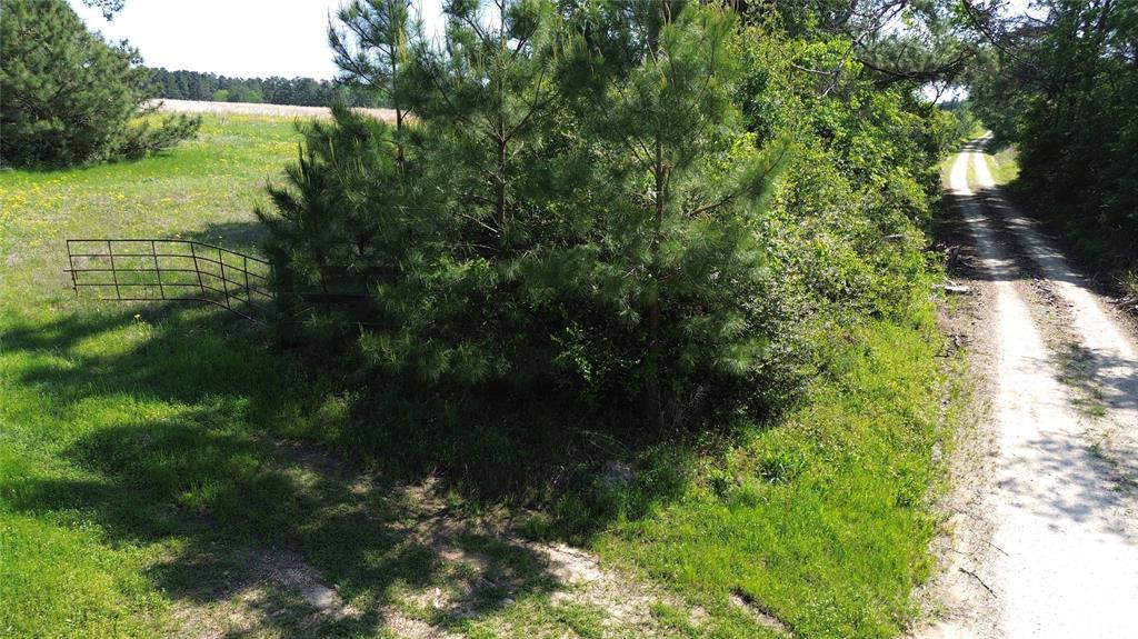 TBD County Road 4030, Crockett, Texas image 19