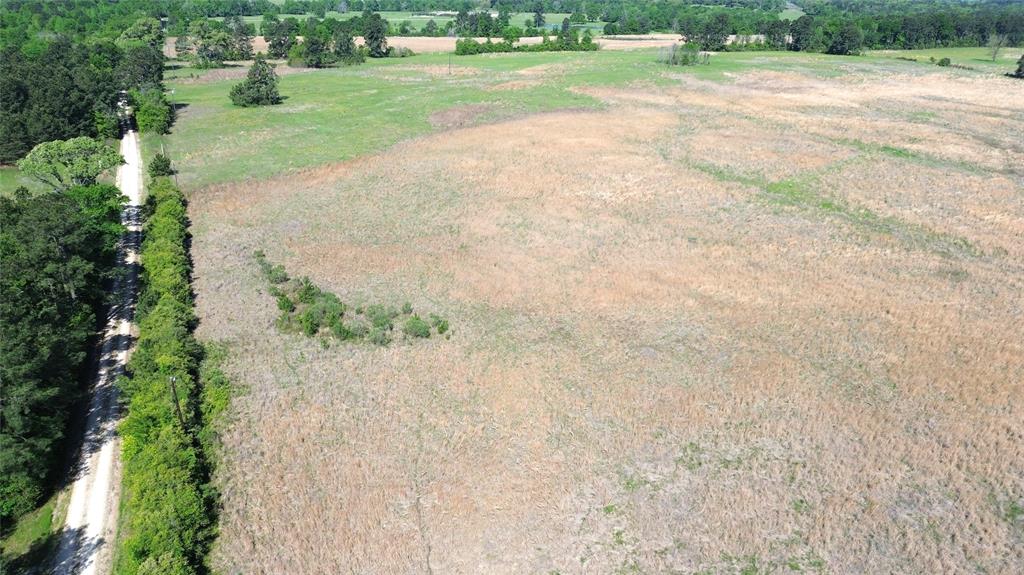 TBD County Road 4030, Crockett, Texas image 5
