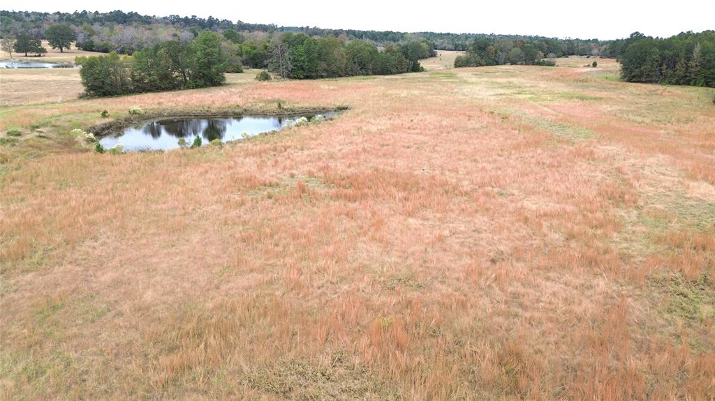 TBD County Road 4030, Crockett, Texas image 10