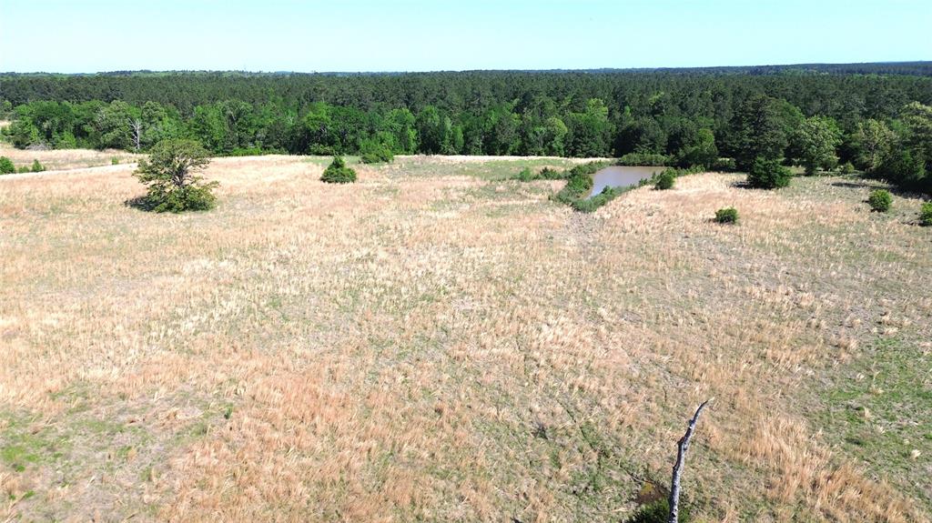 TBD County Road 4030, Crockett, Texas image 12