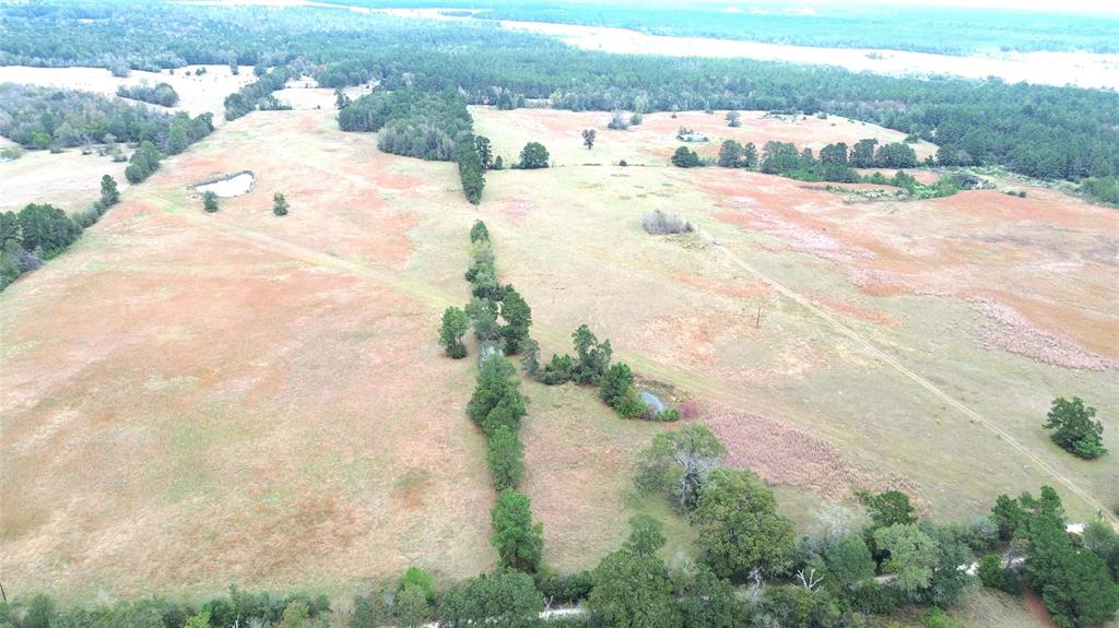 TBD County Road 4030, Crockett, Texas image 2