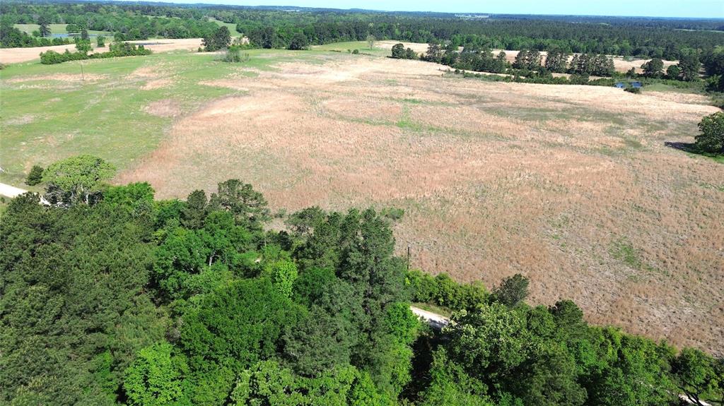 TBD County Road 4030, Crockett, Texas image 4