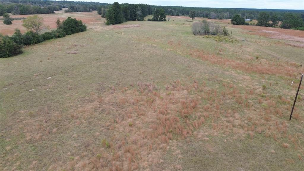 TBD County Road 4030, Crockett, Texas image 17