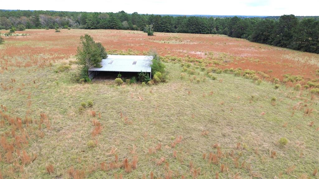 TBD County Road 4030, Crockett, Texas image 13