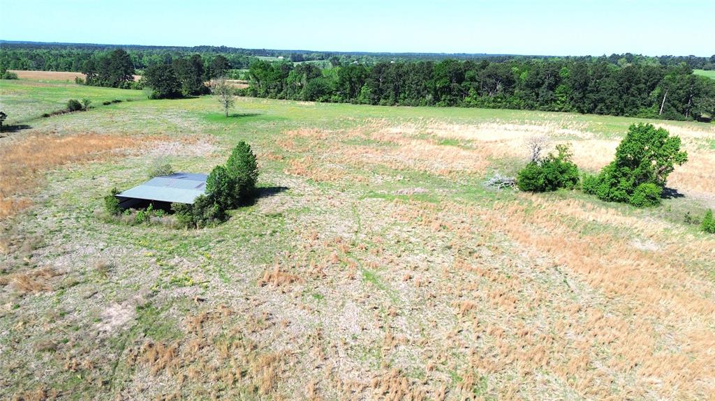 TBD County Road 4030, Crockett, Texas image 14