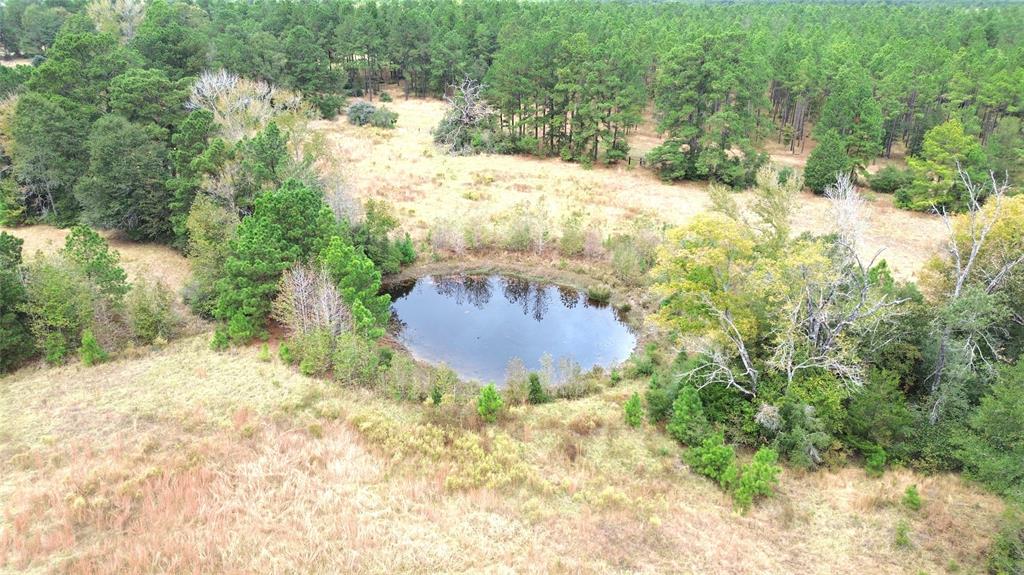 TBD County Road 4030, Crockett, Texas image 6