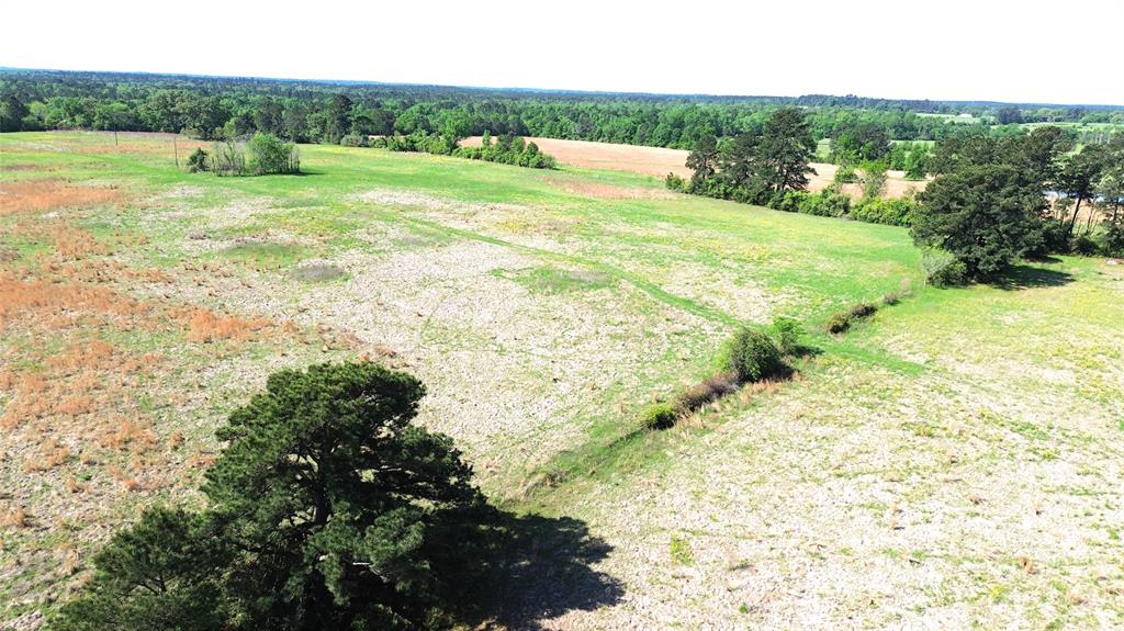 TBD County Road 4030, Crockett, Texas image 15