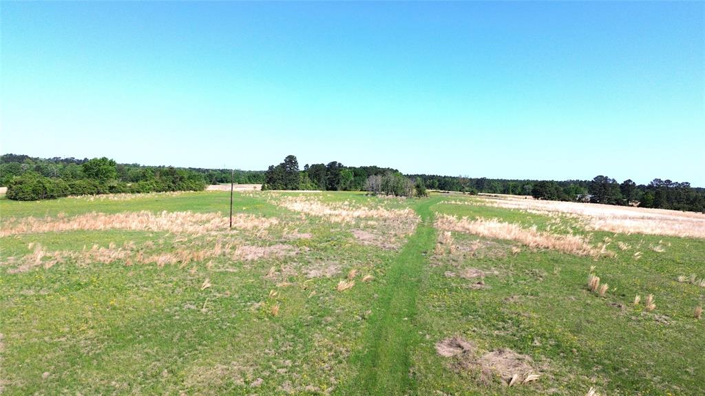 TBD County Road 4030, Crockett, Texas image 7