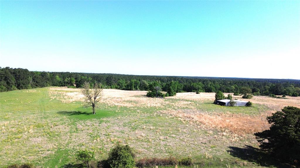 TBD County Road 4030, Crockett, Texas image 10