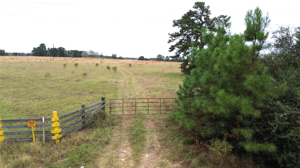 TBD County Road 4030, Crockett, Texas image 4