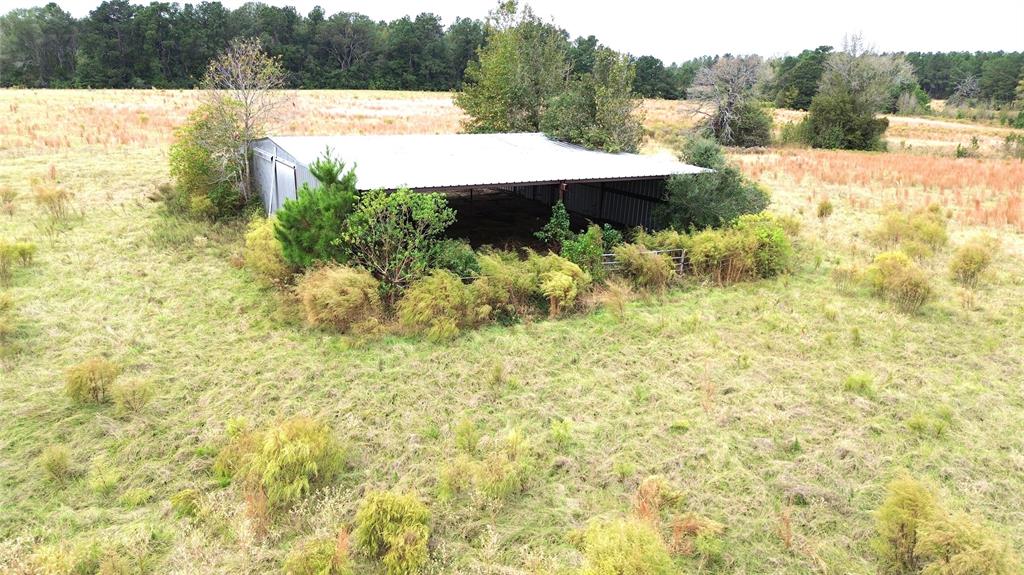 TBD County Road 4030, Crockett, Texas image 11